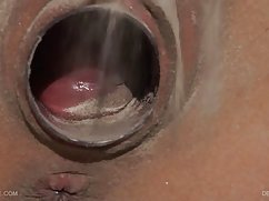Boyfriend bugs brunette in the ass in anal porn